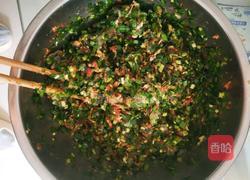 韭菜肉虾仁水饺的做法图解3