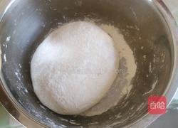 韭菜肉虾仁水饺的做法图解4