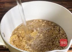 苦菊小米粥的做法图解1