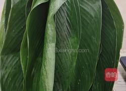 大米猪肉粽的做法图解8