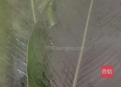 大米猪肉粽的做法图解13