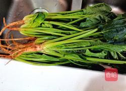 清炒菠菜的做法图解1