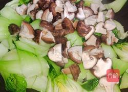 香菇炒上海青的做法图解8