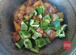 黄焖鸡米饭的做法图解10