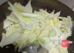 猪肉大白菜炖冻豆腐的做法图解6