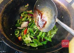 小炒肉的做法图解9