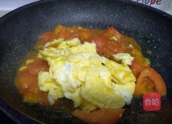 番茄滑蛋盖浇饭的做法图解13