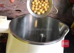 大米豆浆的做法图解3