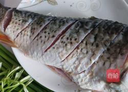 红烧鱼的做法图解4