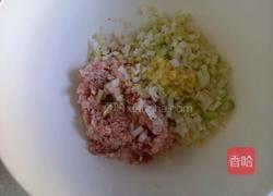 胡萝卜粉条肉包的做法图解4