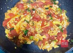 番茄鸡蛋盖饭的做法图解12