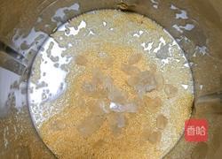 苹果马蹄米糊的做法图解5