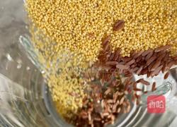 红枣红米糊的做法图解3