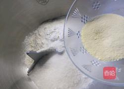 椰蓉面包的做法图解5