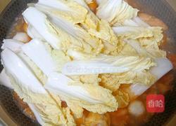 番茄浓汤丸子盖饭的做法图解9