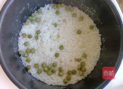 豌豆小饭团的做法图解5