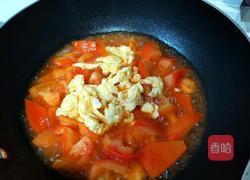 番茄炒蛋盖浇饭的做法图解7