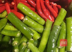 腌脆黄瓜的做法图解5