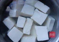 砂锅鲫鱼蘑菇豆腐汤的做法图解5