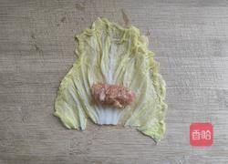 百财聚来如意白菜卷的做法图解13