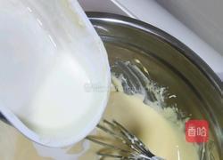 巴斯克芝士蛋糕（家庭主妇省事版）的做法图解5