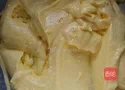 粉色回忆（椰蓉球）的做法图解8