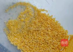 养生南瓜小米粥的做法图解3