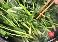 凉拌菠菜之(鸿运当头)的做法图解4