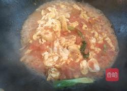 番茄鸡蛋盖浇面的做法图解6