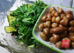 凉拌黄瓜的做法图解9