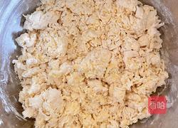 【春季养生菜】韭菜雪花煎包的做法图解3