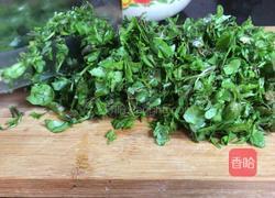 地菜春卷的做法图解3