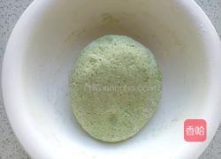 菠菜小馒头的做法图解7