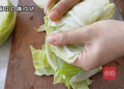 手撕莲花白的做法图解1
