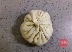 香菜肉饼的做法图解13