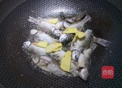 红烧鲫鱼的做法图解7