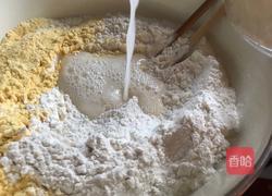 玉米面馒头的做法图解3