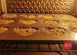 杂粮坚果贝壳蛋糕的做法图解20