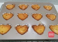 杂粮坚果贝壳蛋糕的做法图解21