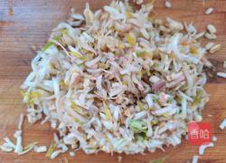 津味素蒸饺的做法图解3