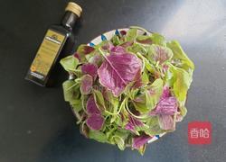 清炒红米苋的做法图解1