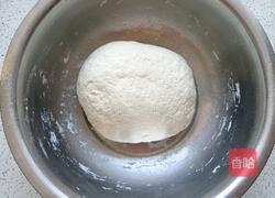 猪肉大葱馅小笼包的做法图解5