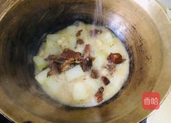 冬瓜炖牛肉的做法图解7