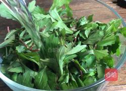 马兰头瘦肉汤的做法图解3