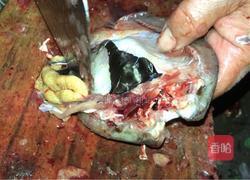 酸菜炒鱼籽的做法图解1