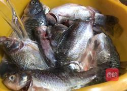 家常酥骨鱼的做法图解2