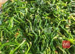 蒲公英茶的做法图解4