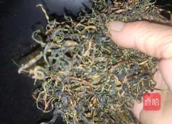 蒲公英茶的做法图解6