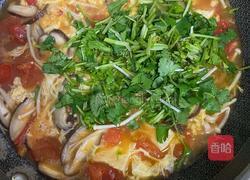 番茄豆腐汤的做法图解5