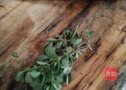 马齿苋菜卷子的做法图解3